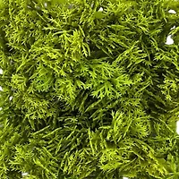 5" Faux Moss Mat by Ashland®