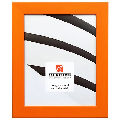 Craig Frames Colori 125 Picture Frame