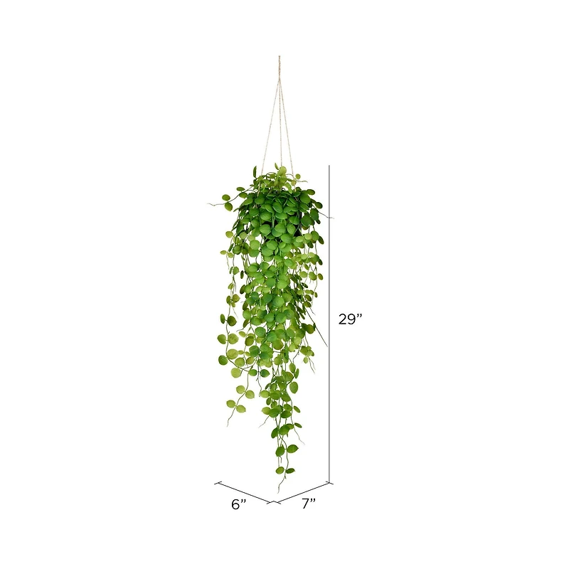 2.5ft. Green Mini Leaf Ivy in Hanging Pot