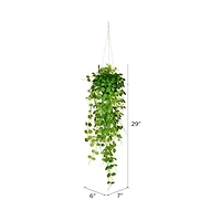 2.5ft. Green Mini Leaf Ivy in Hanging Pot
