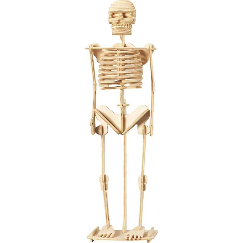 Wonders of Learning Discover the Human Body Educational Tin Set