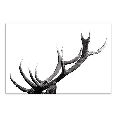 Modern Antlers 20" x 30" Canvas Wall Art