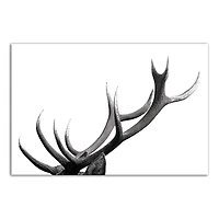 Modern Antlers 20" x 30" Canvas Wall Art