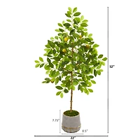 4.5ft Lemon Artificial Tree in Stoneware Vase with Gold Trimming