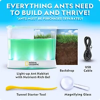 National Geographic Deluxe Light-Up Ant Habitat Kit