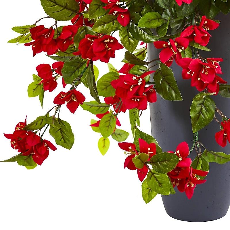 2ft. Red Bougainvillea in Tower Planter