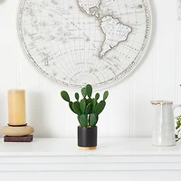 10'' Cactus Succulent Artificial Plant in Planter