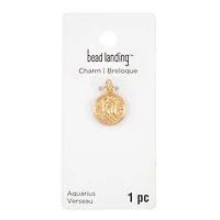 Metal Zodiac Coin Charm by Bead Landing