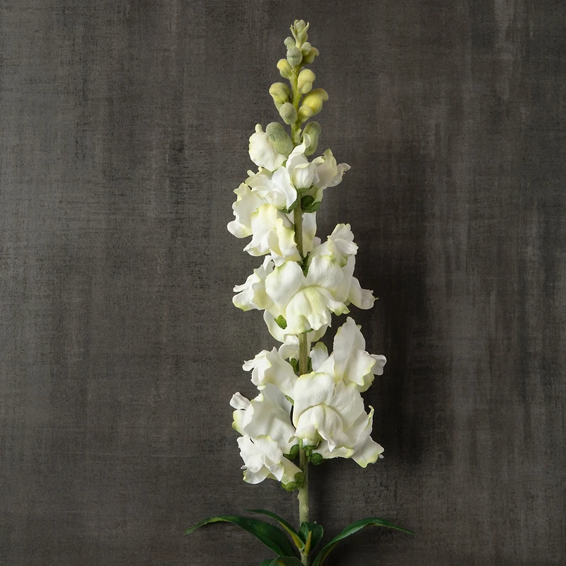 Cream Snapdragon Spray by Ashland®