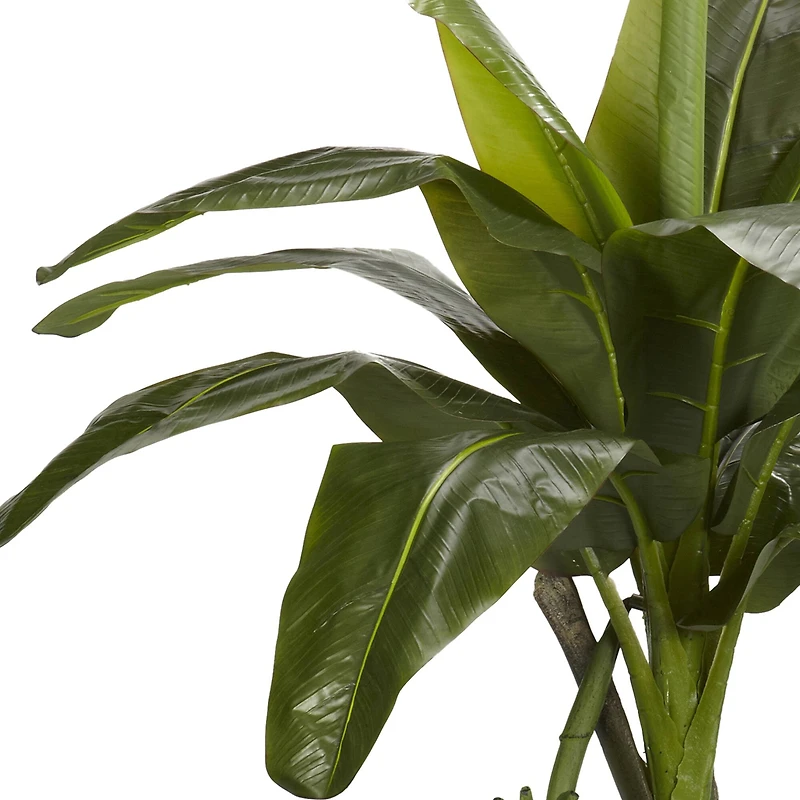 6ft. Potted Banana Tree