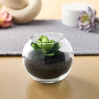 12 Pack: Black Stone Granules by Ashland™