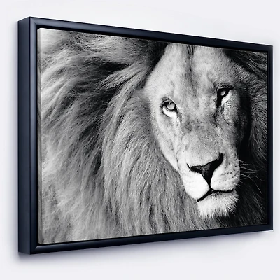 Designart - Lion Head in Grey