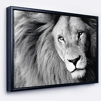 Designart - Lion Head in Grey