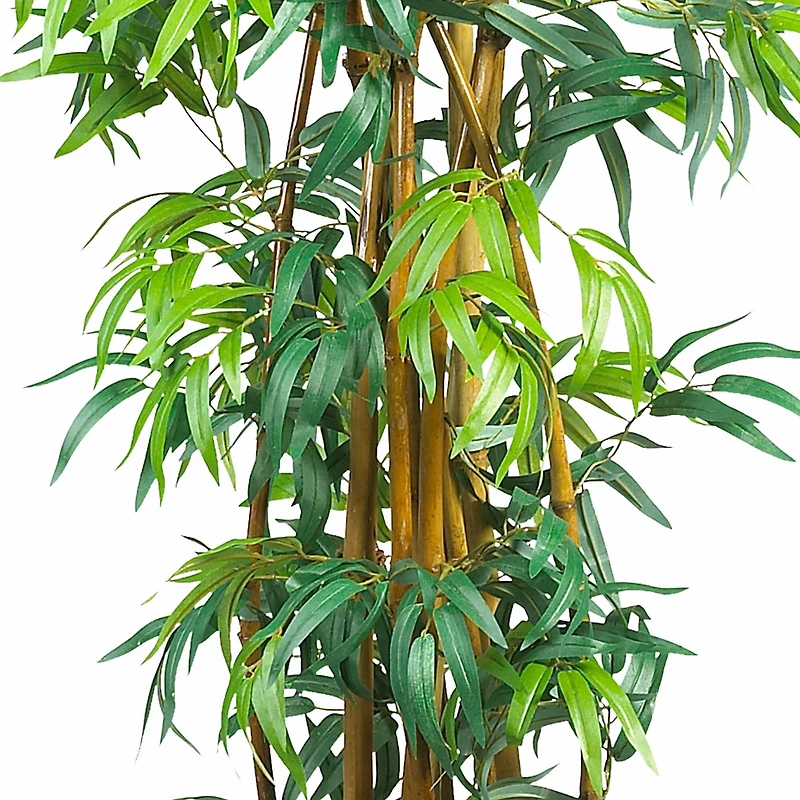 6ft. Potted Curved Bamboo Tree