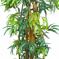 6ft. Potted Curved Bamboo Tree