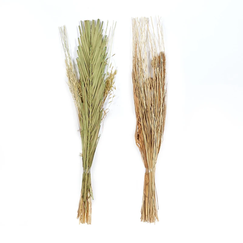 Brown & Green Pigeon Pea Foliage Bundle Set