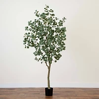 7ft. Potted Greco Eucalyptus Tree