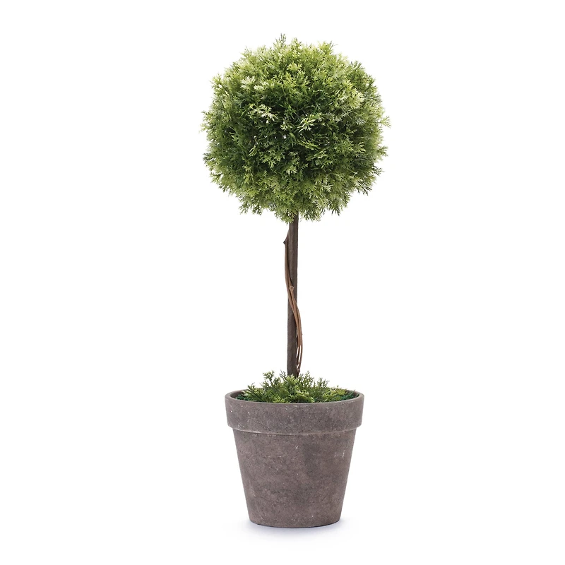 17.5" Potted Boxwood Topiary Tree