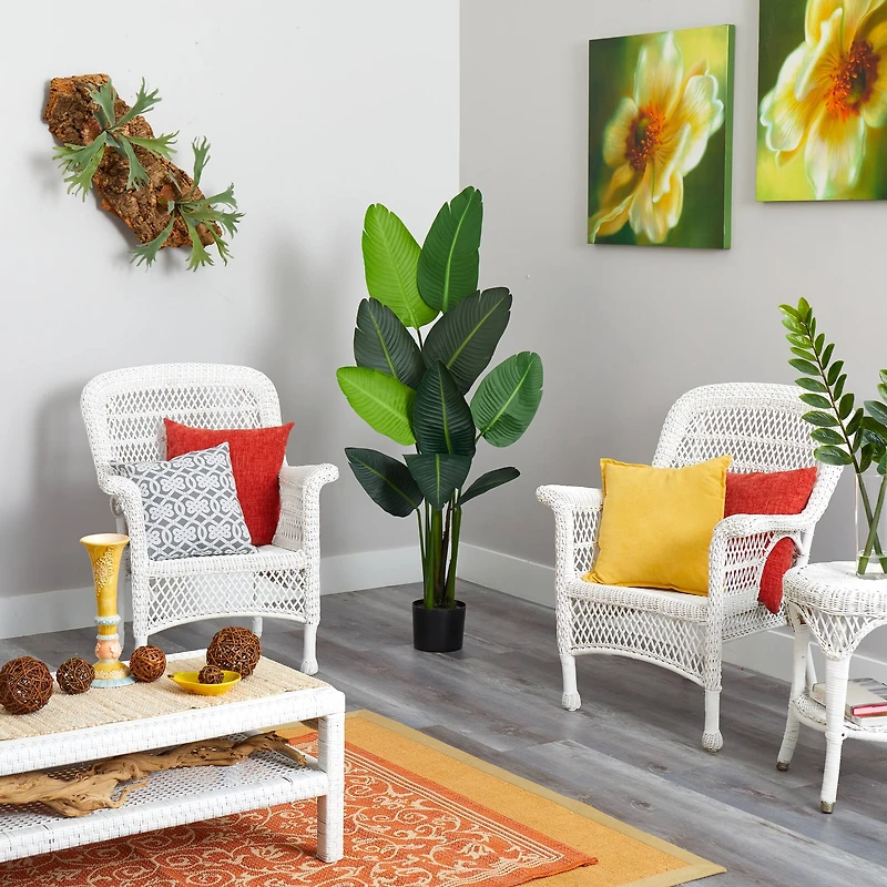 4.8ft. Potted Traveler's Palm Tree