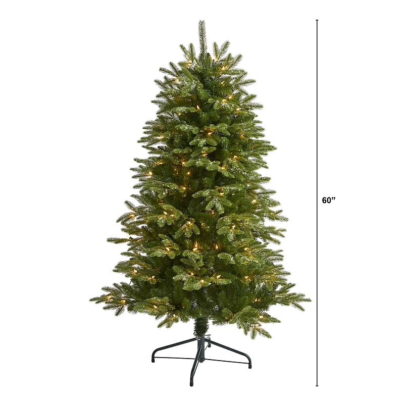 5ft. Pre-Lit Grand Teton Artificial Christmas Tree, Clear LED Lights
