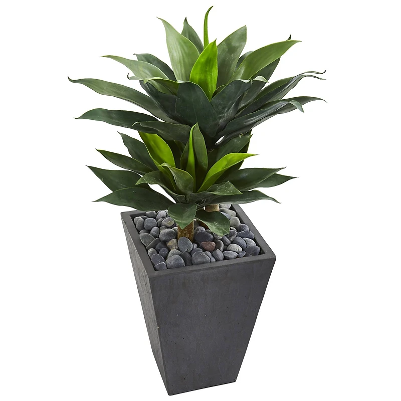3ft. Double Agave Succulent Plant in Slate Planter