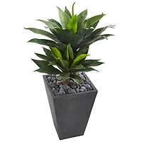 3ft. Double Agave Succulent Plant in Slate Planter
