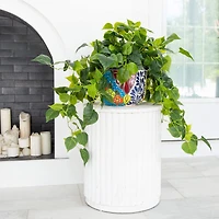 3.5ft. UV-Resistant Artificial Philodendron in Handmade Mexican Talavera Ceramic Planter