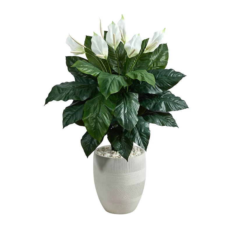 4ft. Peace Lily Plant in White Designer Planter