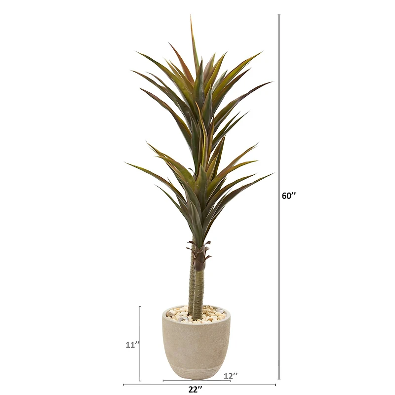 5ft. Yucca Tree in Sandstone Planter