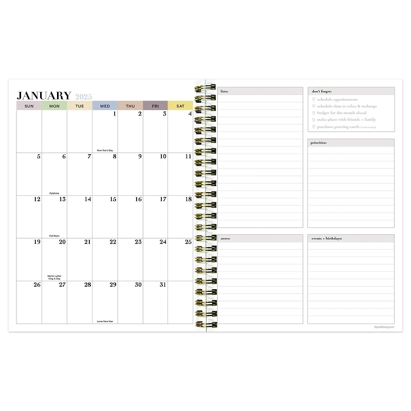 TF Publishing 2025 Medium Lemons of Capri Weekly Monthly Spiral Planner