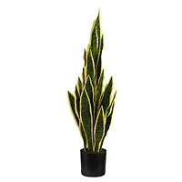 2.5ft. Potted Variegated Snake Plant