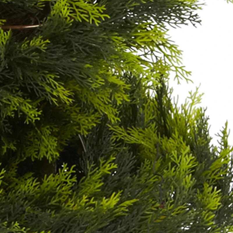 5ft. Potted Cypress Spiral Tree