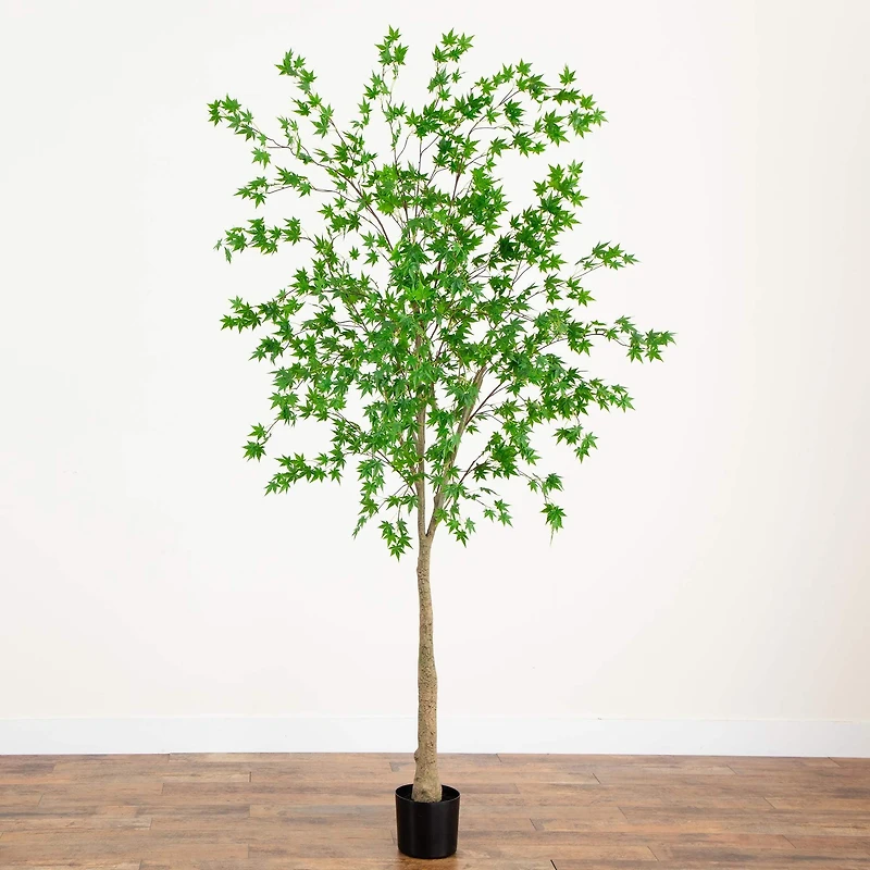 8ft. Potted Maple Tree