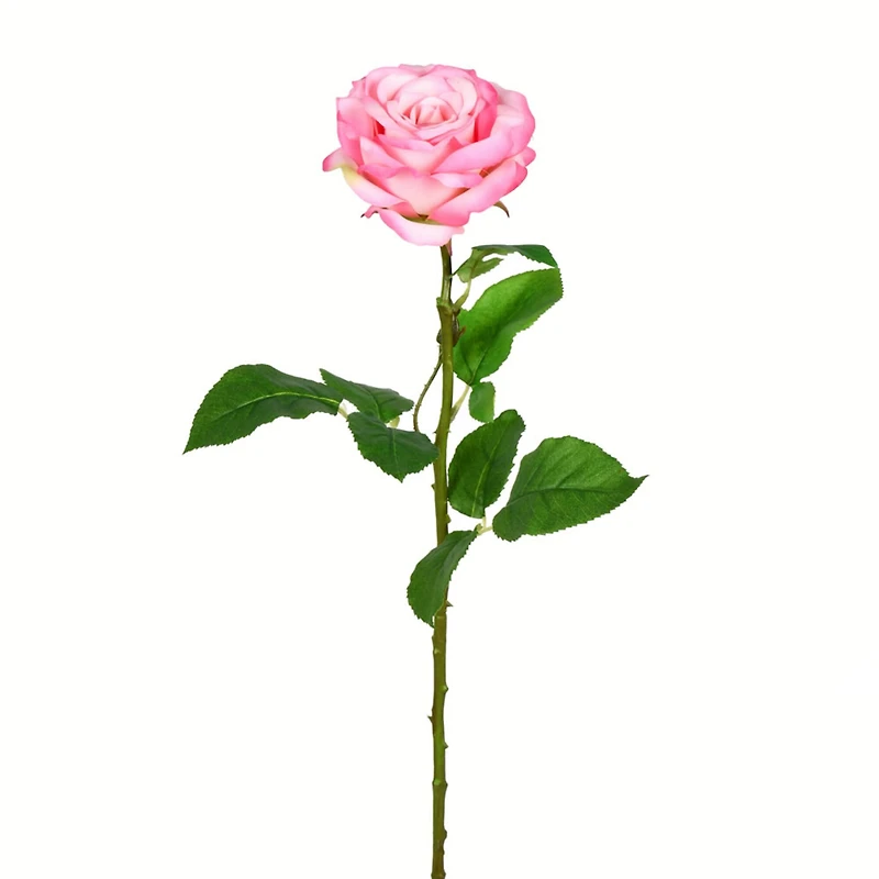 Pale Pink Rose Stem, 6ct.