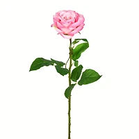 Pale Pink Rose Stem, 6ct.