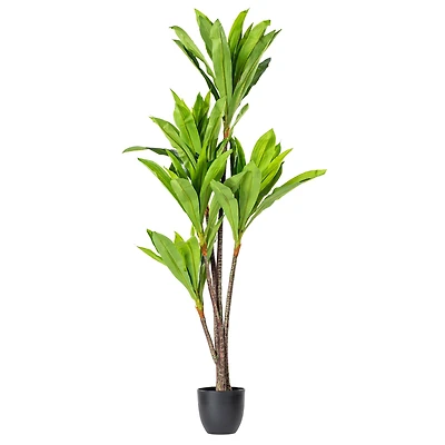 5ft. Potted Artificial Dracaena Tree