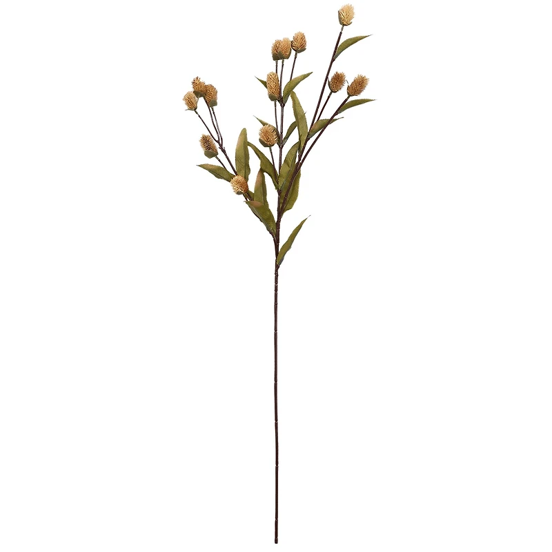Toast Thistle Stem by Ashland®