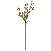 Toast Thistle Stem by Ashland®