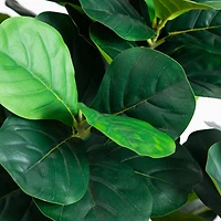 6ft. Artificial Grand Fiddle Leaf Tree in White Decorative Planter