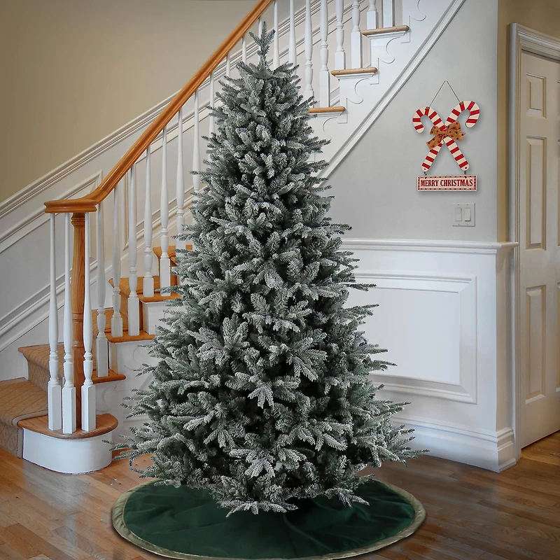 7.5ft. Unlit Frosted Holliston Artificial Christmas Tree