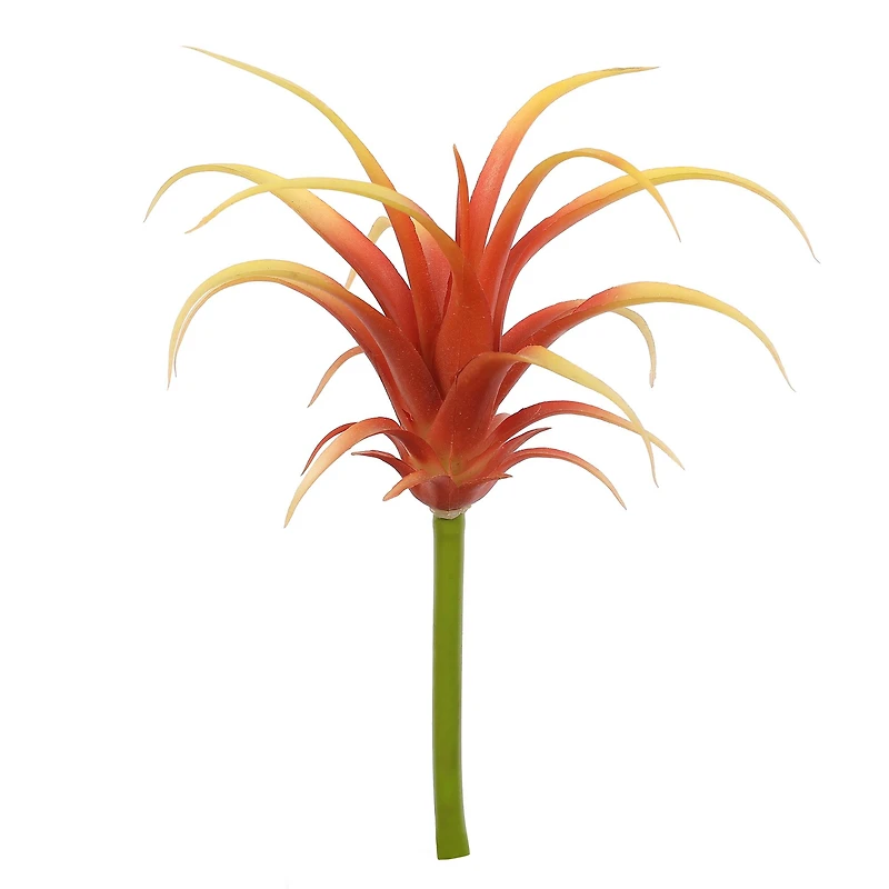 Assorted 7" Tillandsia Pick by Ashland®