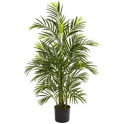 3.5ft. Potted Areca Palm