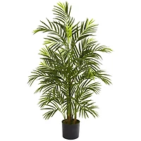 3.5ft. Potted Areca Palm