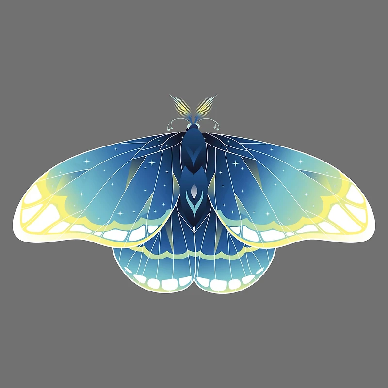 4" x 4" Moths Canvas Painting Kit by Craft Smart®