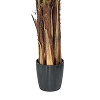 6ft. Potted Giant Areca Palm Tree