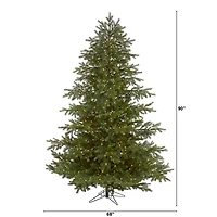 7.5ft. Pre-Lit South Carolina Spruce Real Touch Artificial Christmas Tree, Warm White LED Lights