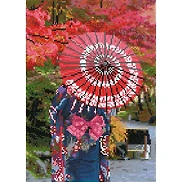 Diamond Dotz® Autumn Elegance Diamond Painting Kit