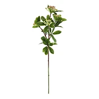 26" Pink Berry with Foliage Stem by Ashland®