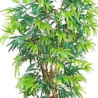 6ft. Potted Curved Bamboo Tree
