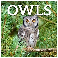 TF Publishing 2025 Owls Wall Calendar